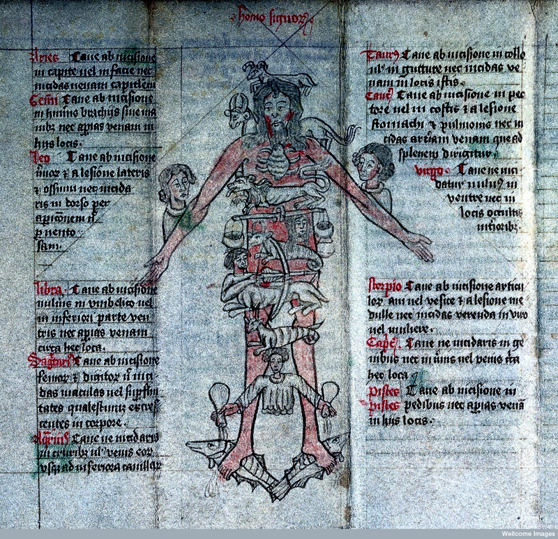 Illustration for article titled A Brief History of the Body Told Through 10 Eye-Popping Drawings